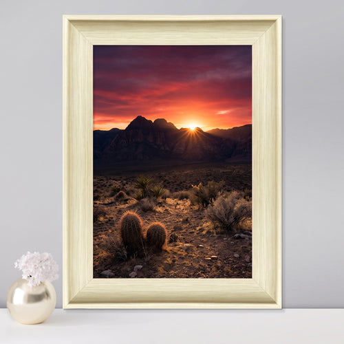 Framed Art Prints